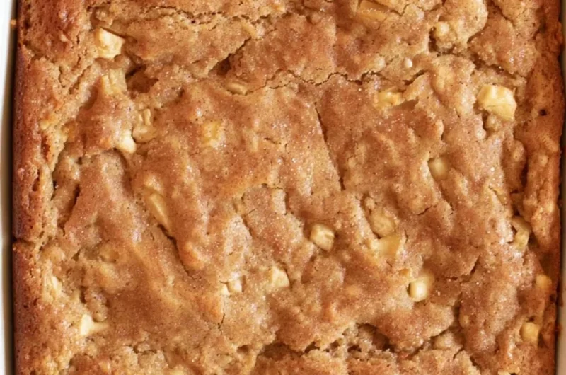 Freshly baked Amish Apple Cake topped with apples and spices.